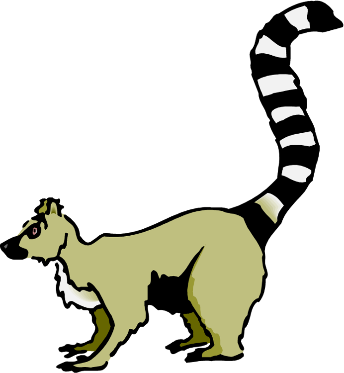 Lemur Clip Art - Lemur Clip Art (692x750)