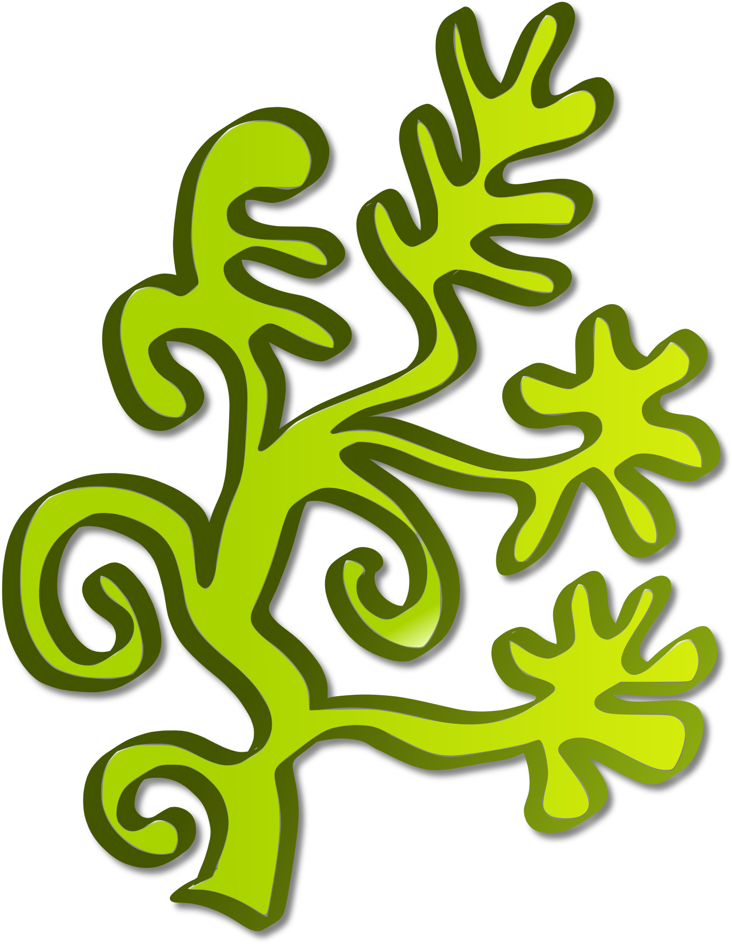 Clipart - - Algae Clipart (1813x2400)