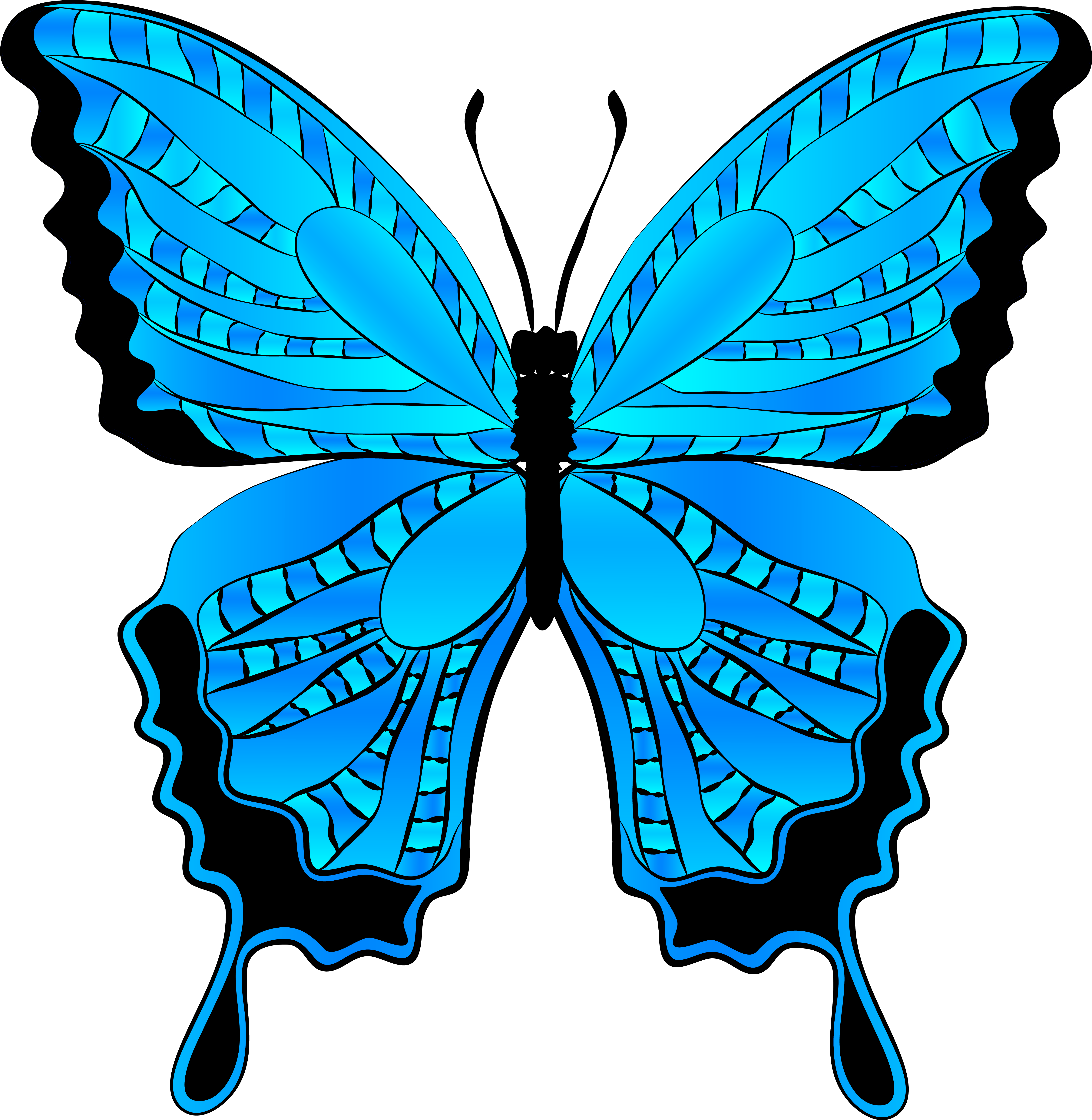 Butterfly Clipart Free Clipart Images - Butterfly Clip Art Blue (6117x6224)