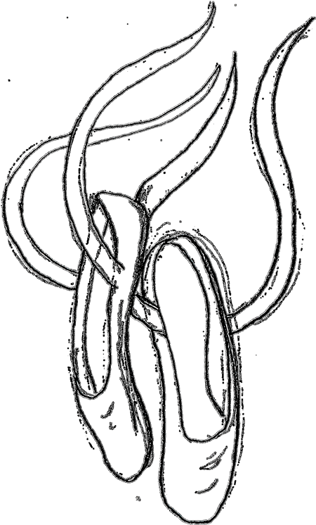 A Perfect World - Ballet Slippers Clipart (462x750)