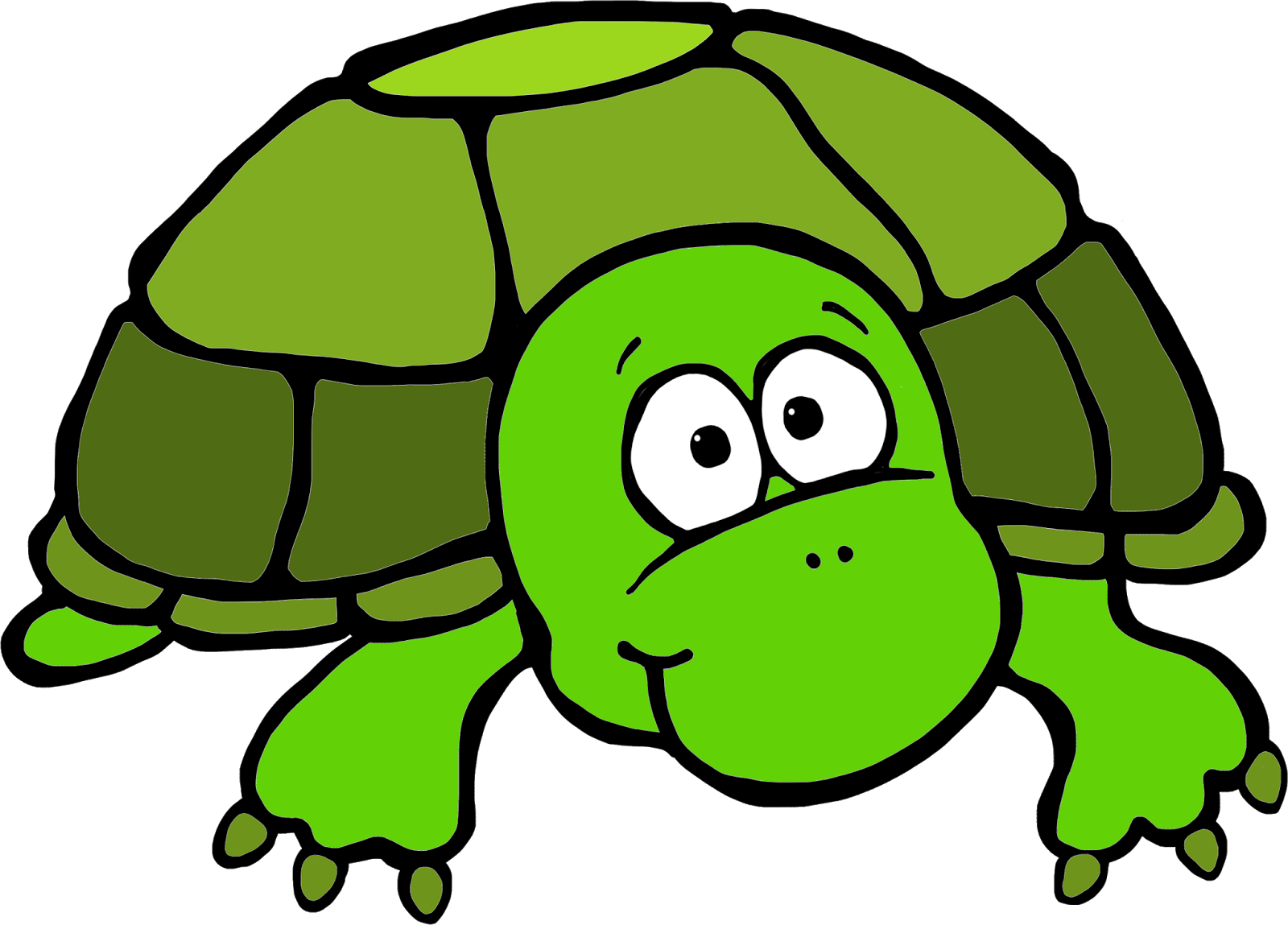 More From My Site - Turtle Clipart Color (1600x1149)