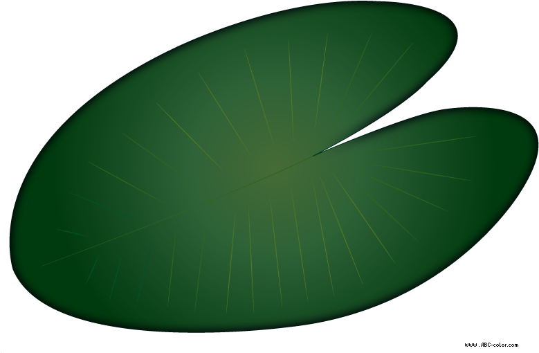 Water Lily Clipart - Circle (822x567)