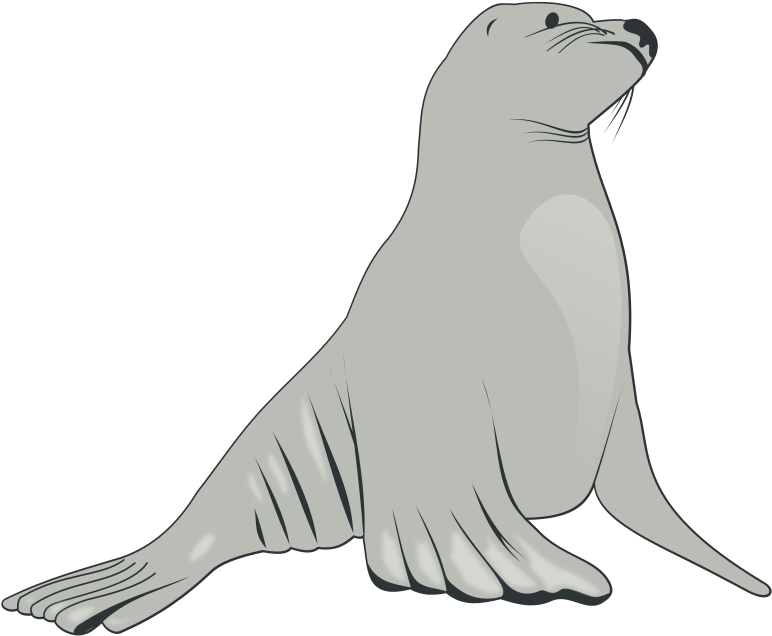 Free To Use Amp Public Domain Sea Lion Clip Art - Sea Lion Clipart (800x654)