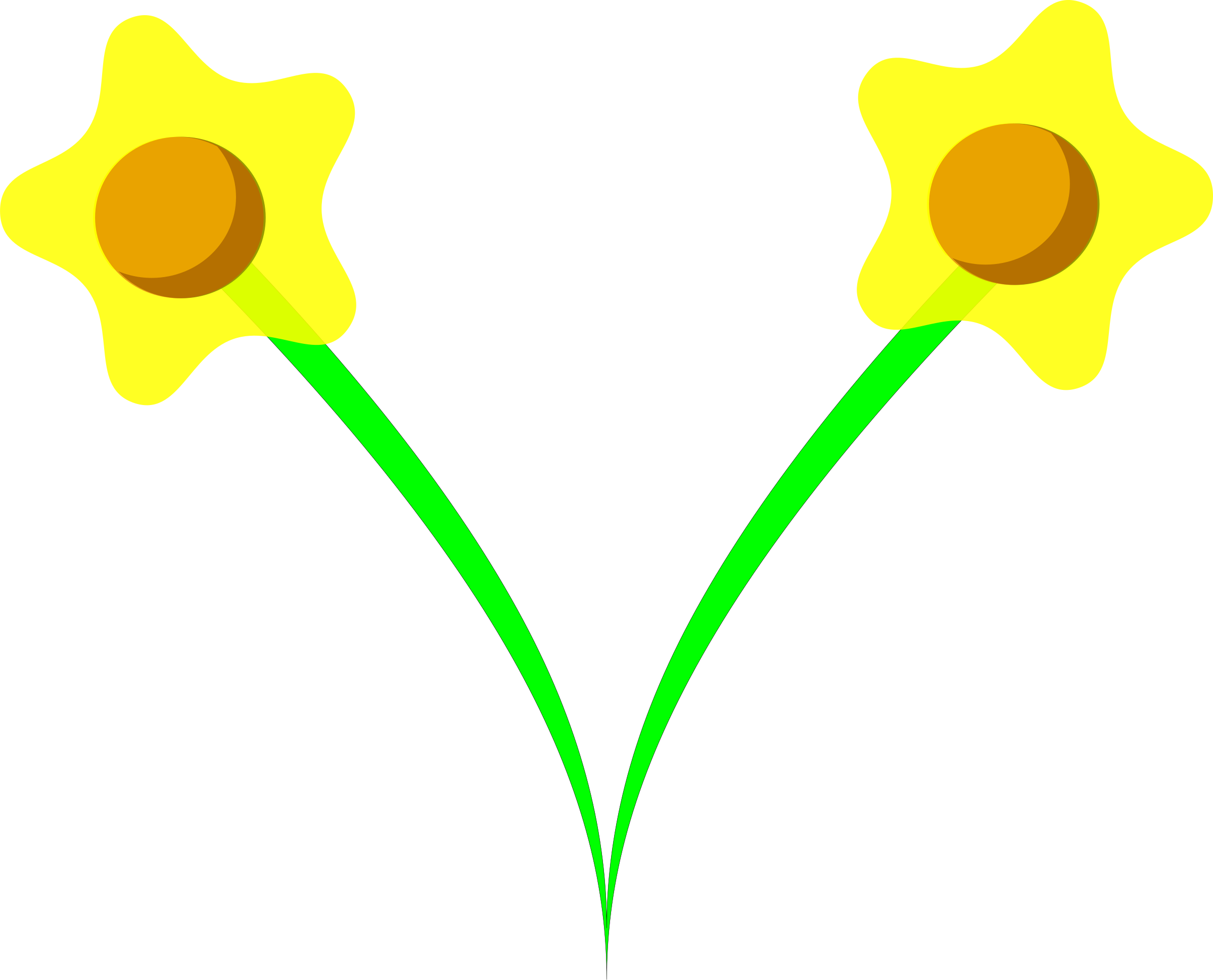 Daffodil Blossom - Daffodil (2400x1938)