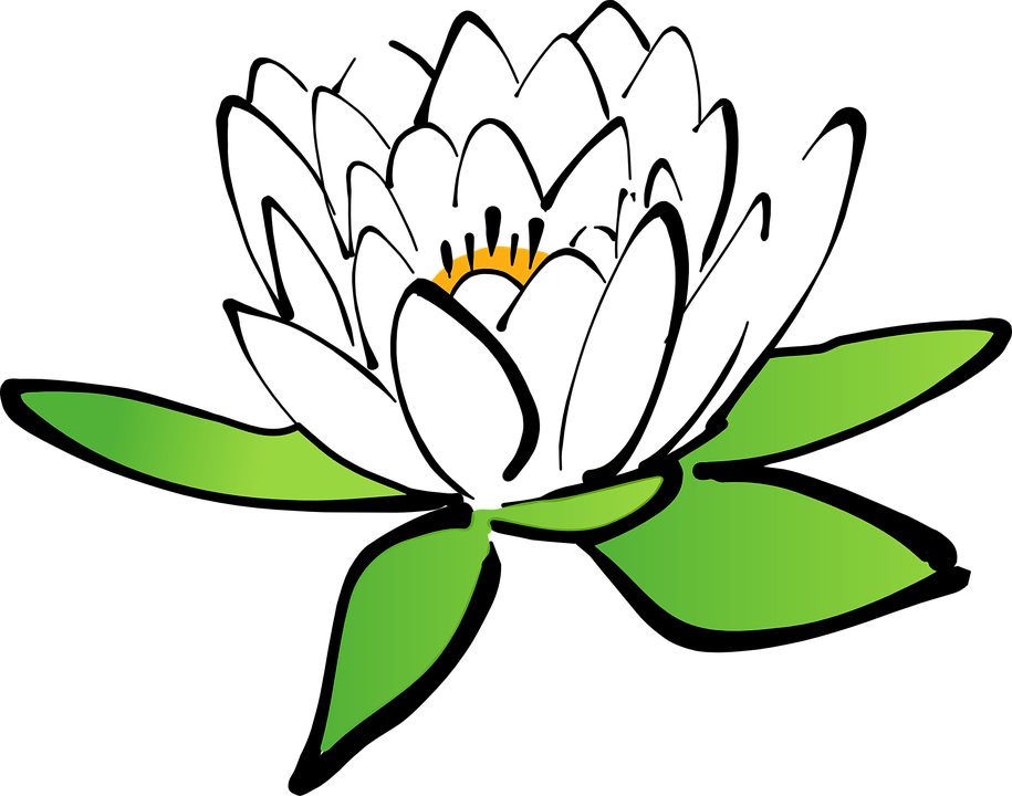 Water Clipart Lotus - Cartoon Flower Transparent Background (915x720)