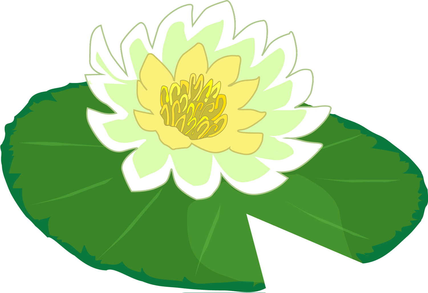 White Flower Water Lily Clipart The Cliparts Png - Lily Pad Clipart Free (1501x1027)