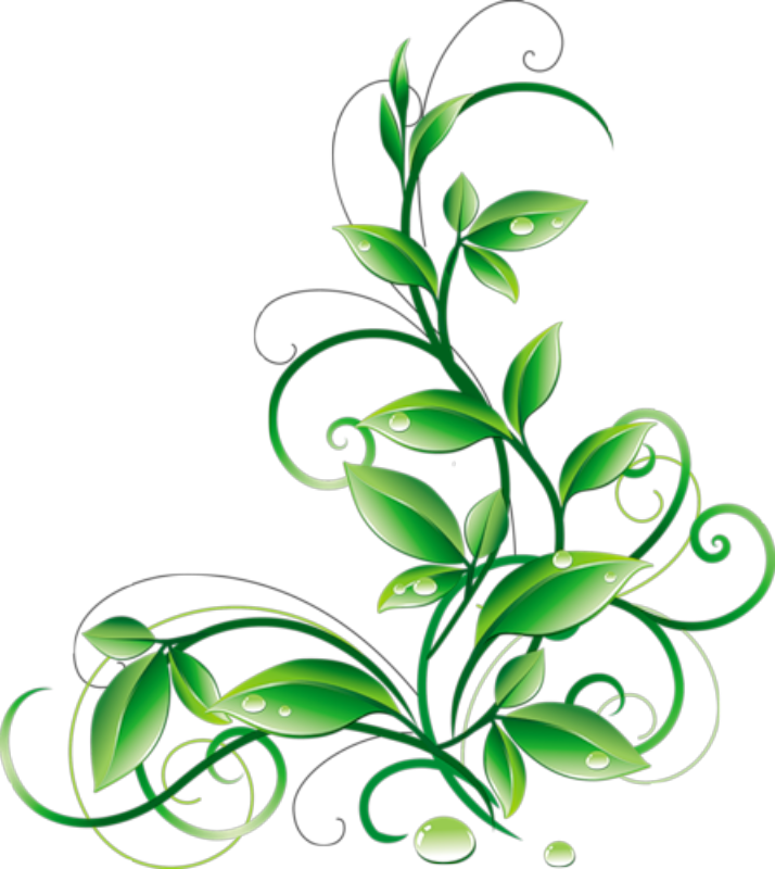 Floral Green Leaves And Water Droplets Png Clipart - Green Corner Border Png (714x800)