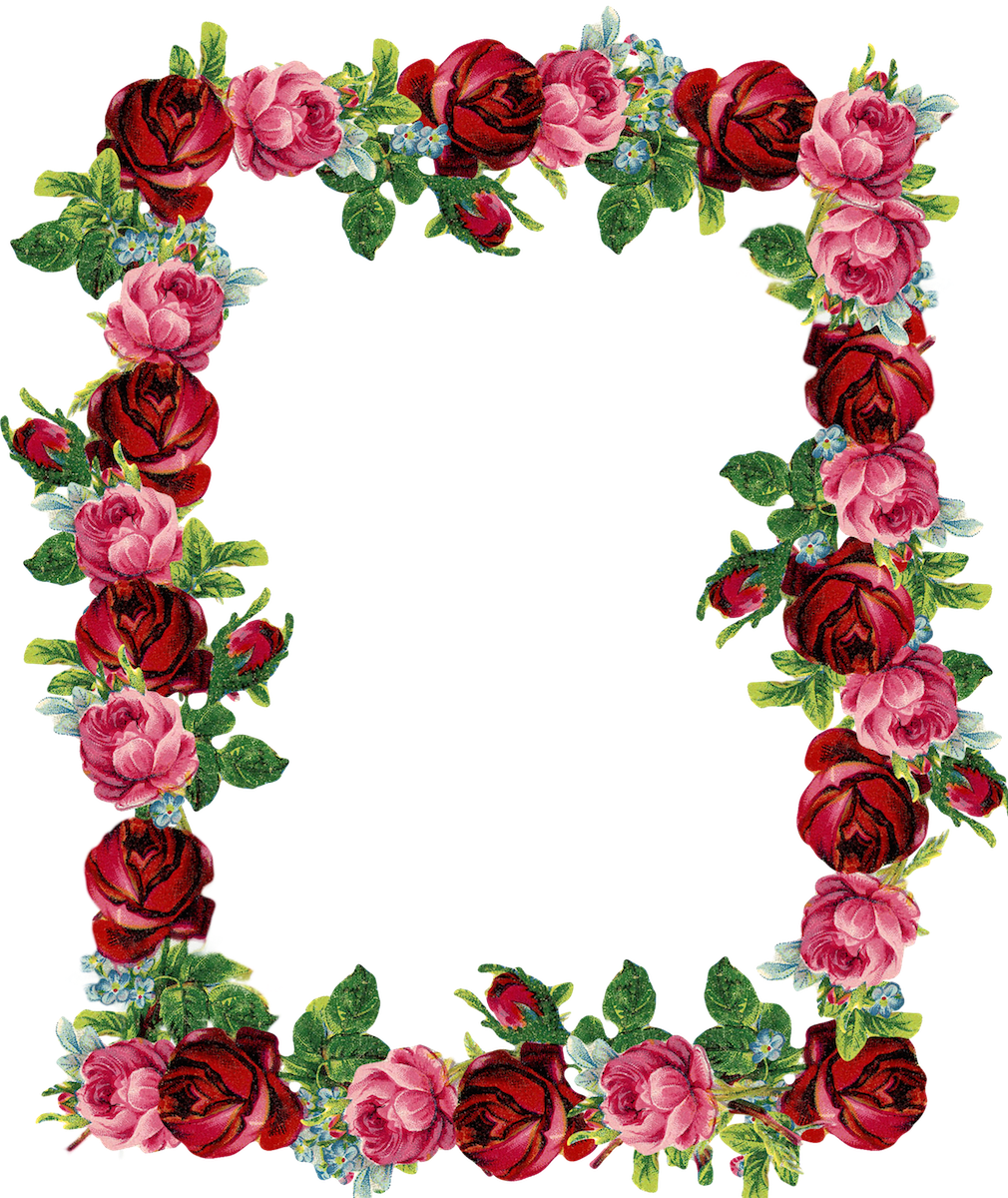 Free Digital Vintage Rose Frame And Border - Transparent Background Rose Border (1010x1200)