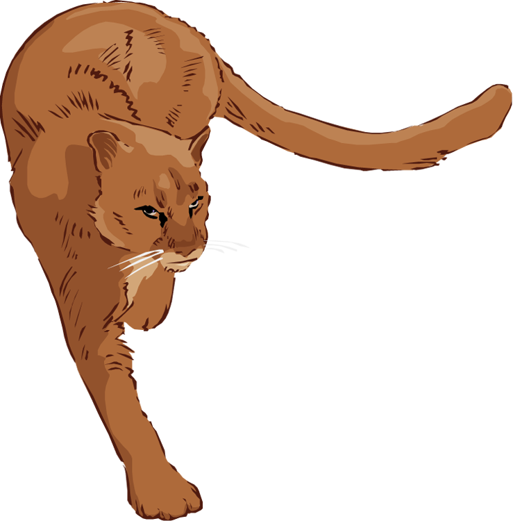 Free Lion Clipart - Clipart Cougar (739x750)