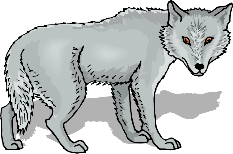 Gray Wolf Clip Art Free Clipart Images - Grey Wolf Clipart (750x497)