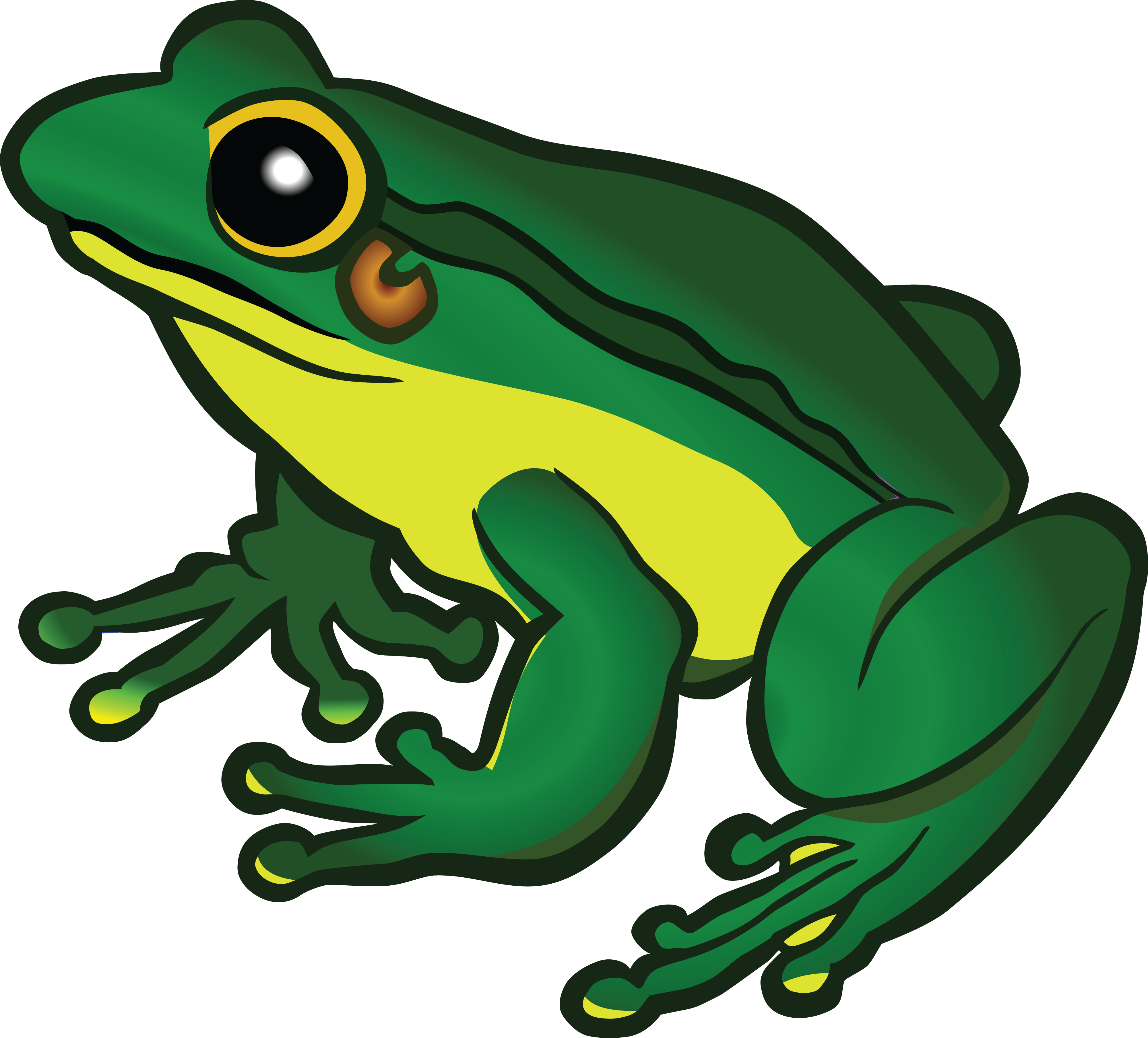 Clipart Of Frog Free A - Frog Png Clipart (4000x3618)
