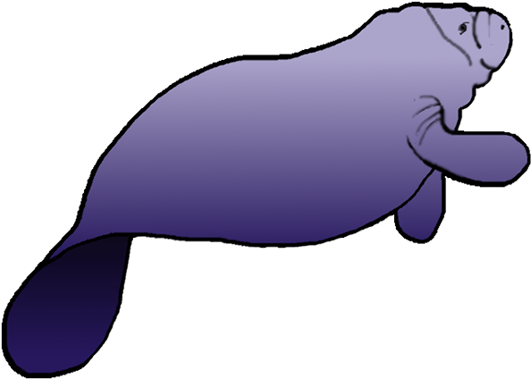 Manatee Clipart (600x437)