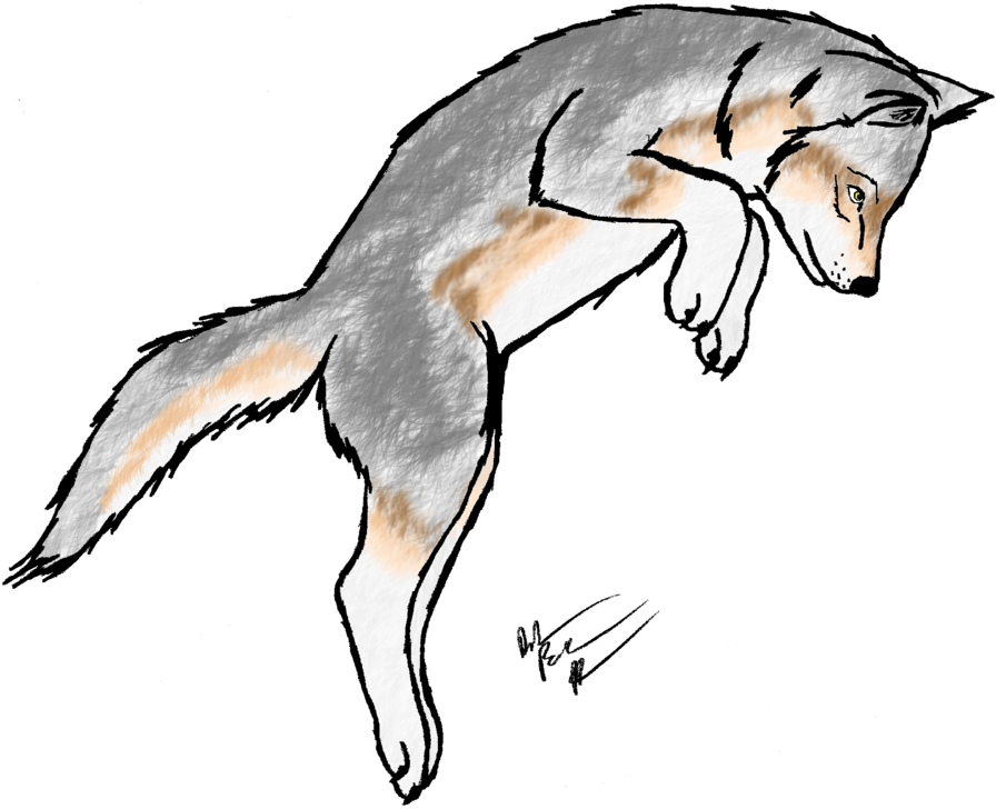 Wolf Clipart Wolf Pup - Wolf Pup Clip Art (900x734)