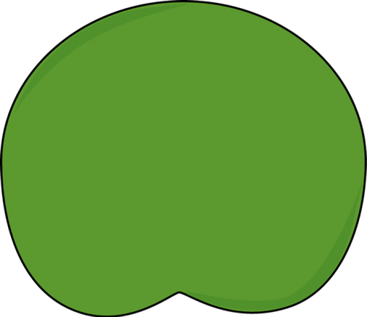 Dark Green Lily Pad - Lily Pad Clipart (728x628)