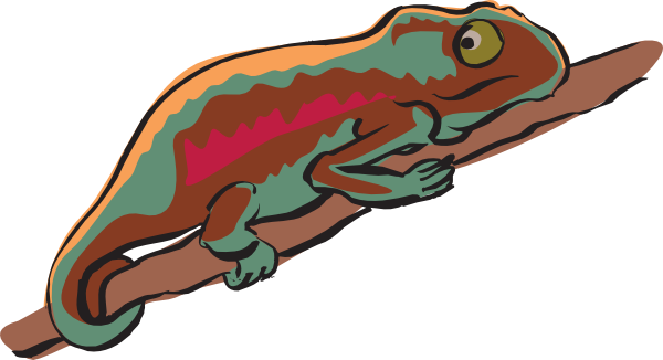 Peachy Design Chameleon Clipart Multicolored Clip Art - Chameleon Clipart Png (600x326)