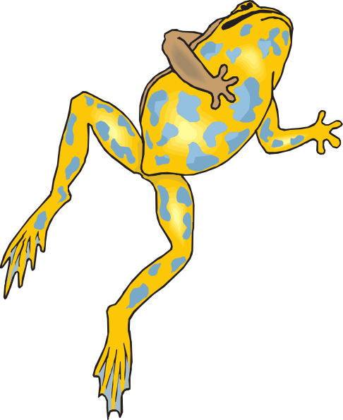 Frog Jumping Transparent Png (486x595)