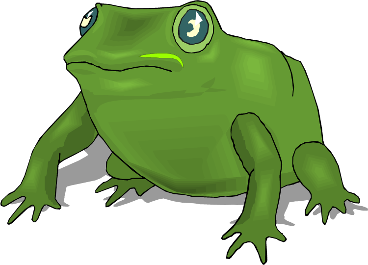 Free - Life Cycle Of A Frog (750x540)