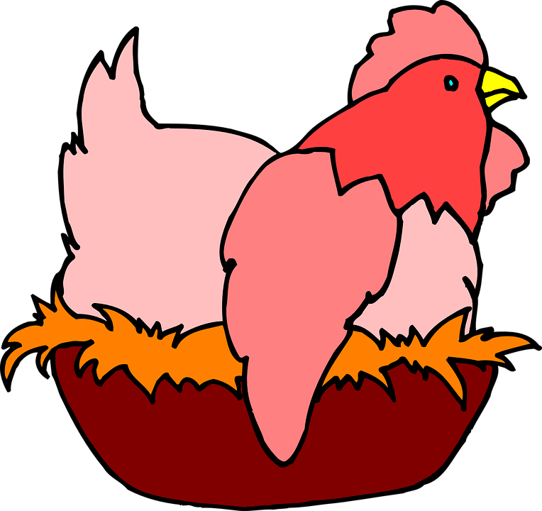 Chicken Hen Eggs Laying Lay Poultry Farm Animal - Chicken In A Nest (764x720)