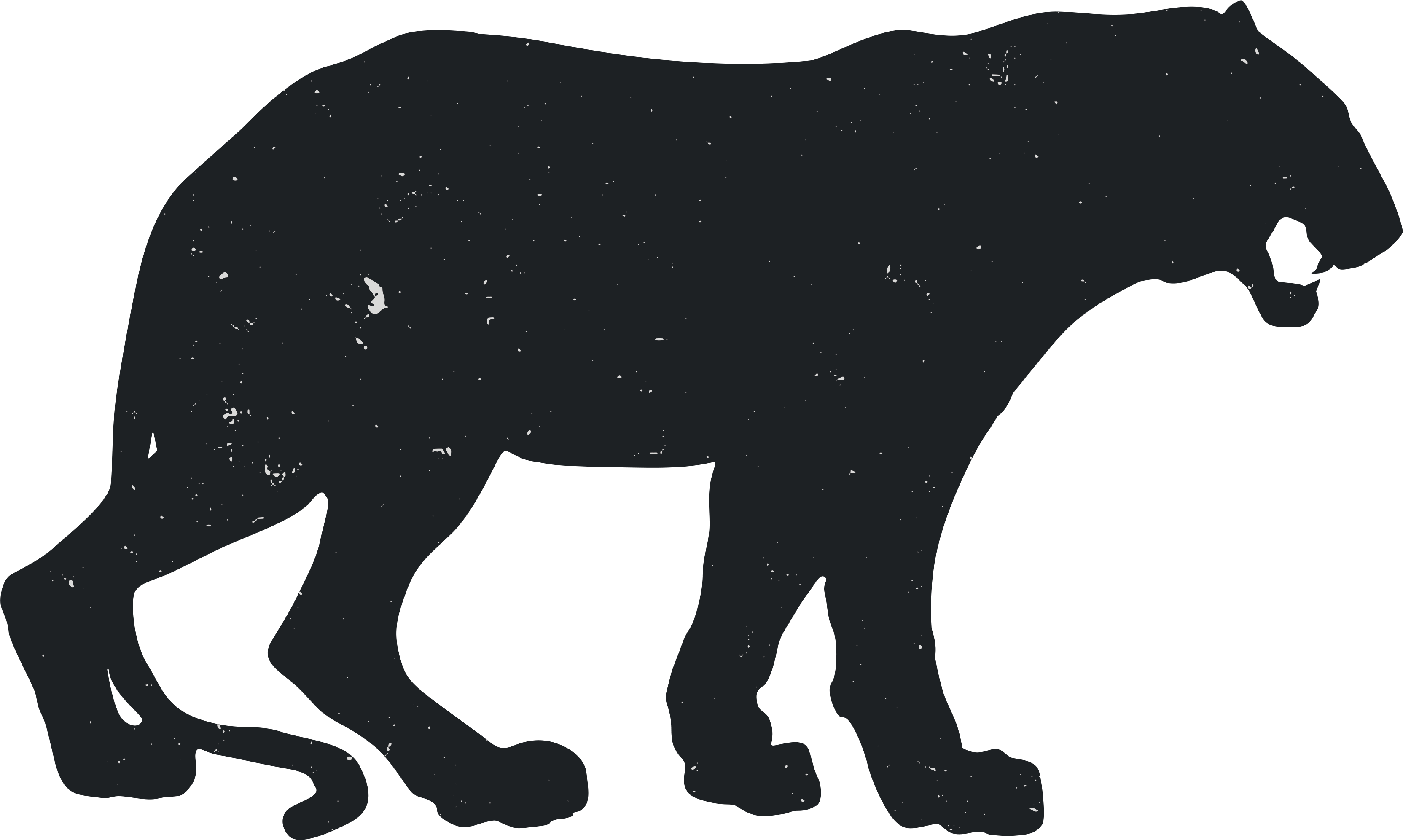 Baby Tigers Bengal Tiger Silhouette Clip Art - Tiger Silhouette (3600x3600)