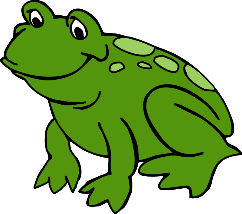 Cute Frog Clipart - Sensor (800x710)
