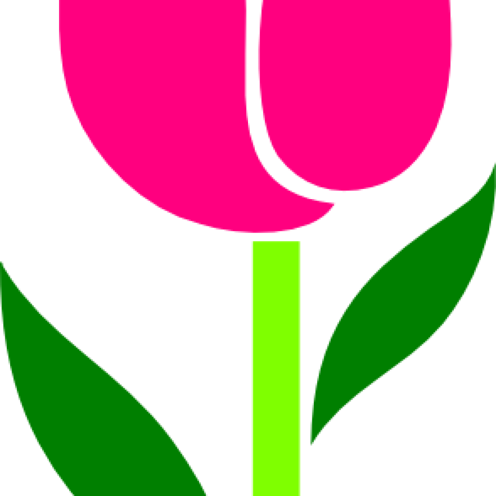 Tulip Clipart Pink Tulip Leaves Askew Clip Art At Clker - Clip Art (1024x1024)