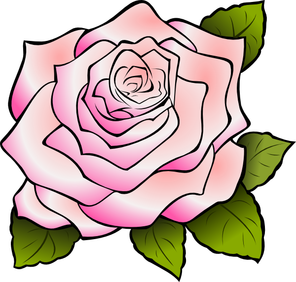 Pink Rose Clip Art (600x572)