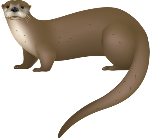 Otter-bg - Otter Clipart (500x458)