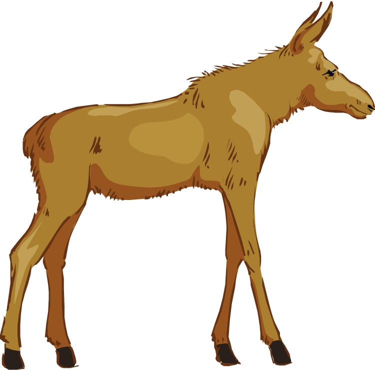 Free Moose Clipart - Clip Art (750x740)