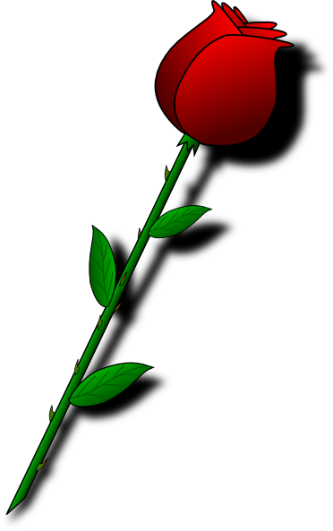 Single Red Rose Clipart - Valentines Day Roses Clipart (372x593)