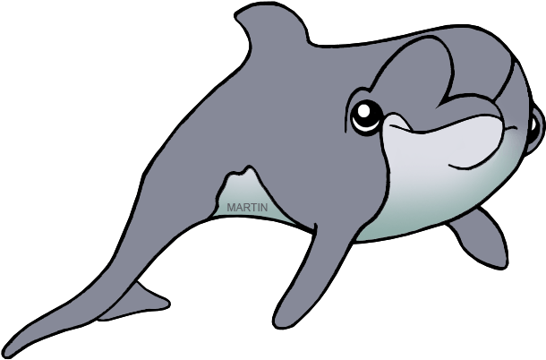 South Carolina State Marine Mammal - State Marine Mammal Of South Carolina (648x411)