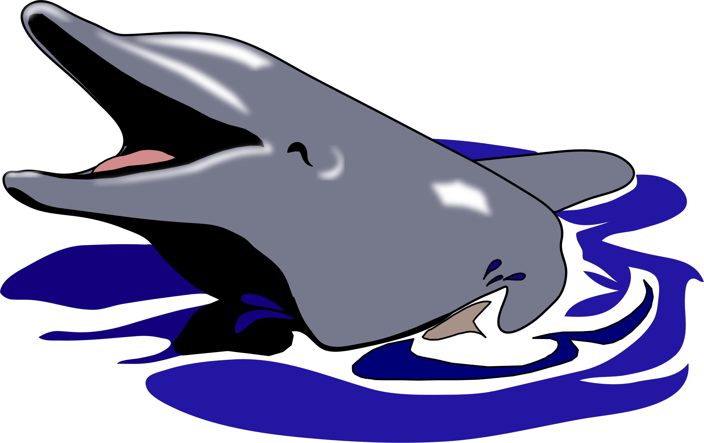 Common Bottlenose Dolphin Tucuxi Clip Art - Common Bottlenose Dolphin Tucuxi Clip Art (2370x1491)