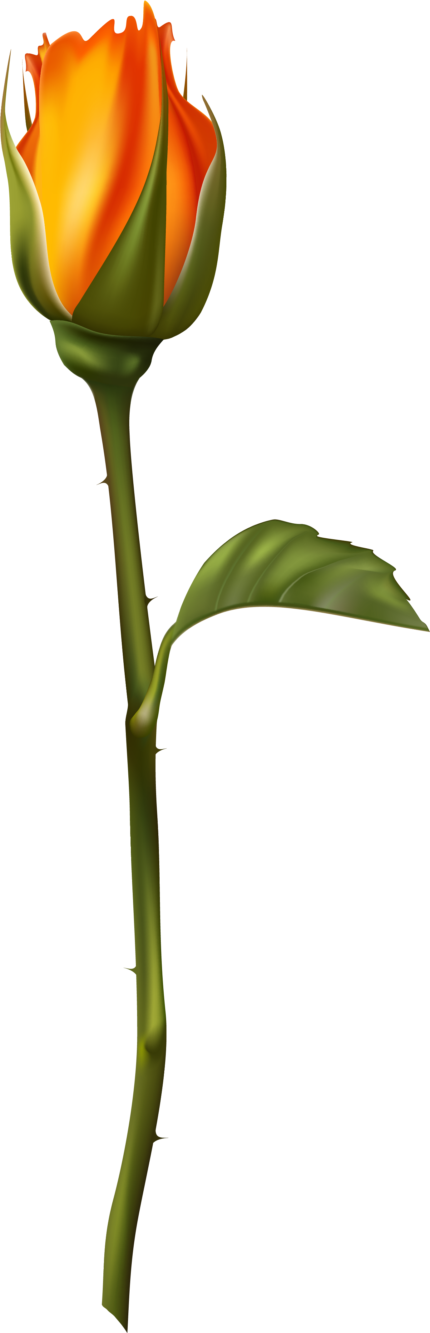 Paint Flowers, Happy Flowers, Decorative Paintings, - Clip Art Bud (1577x4574)