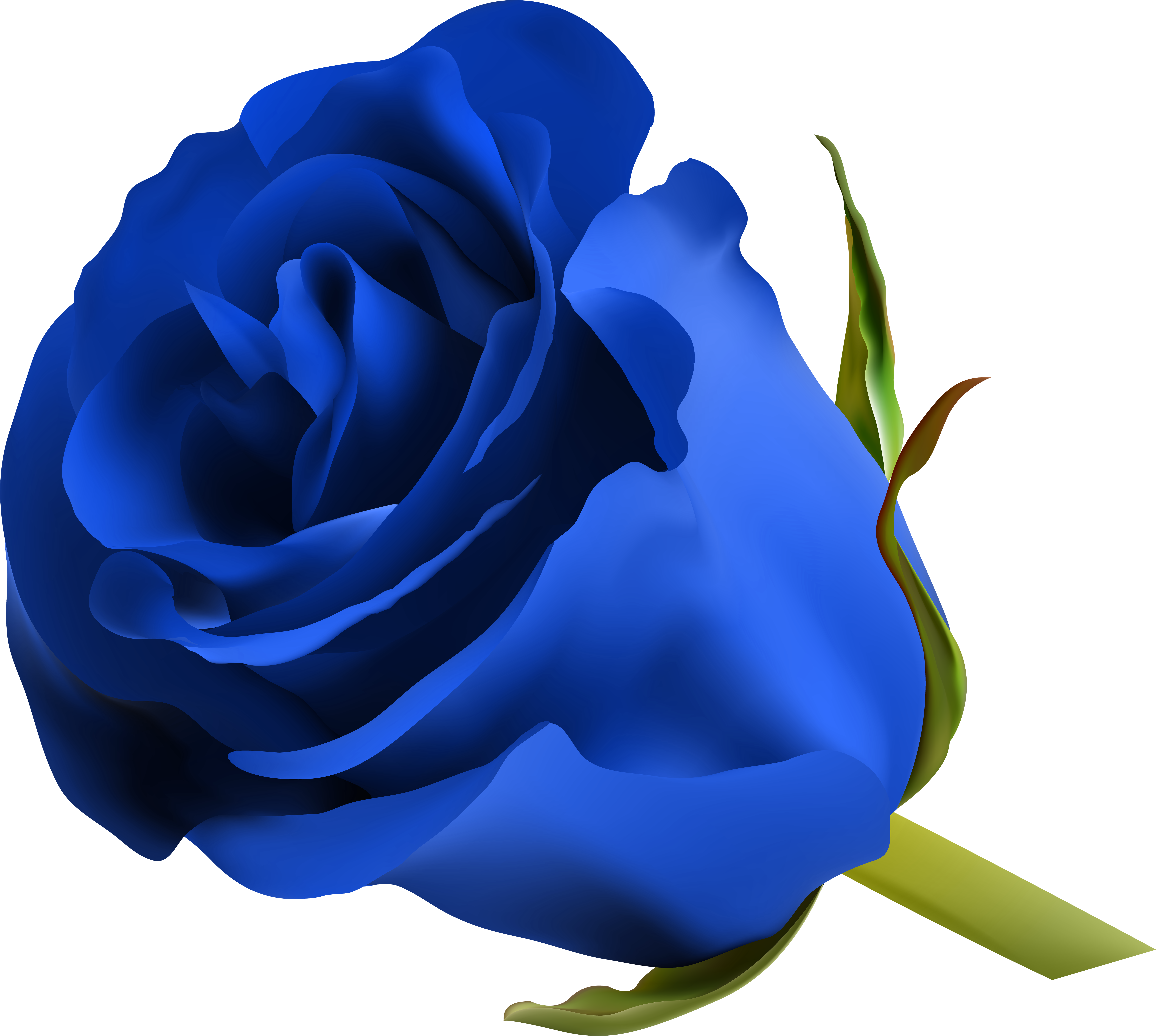 Blue Roses, Art Images, Clip Art, Pictures, Free, Beautiful, - Blue Rose Png (8000x7168)