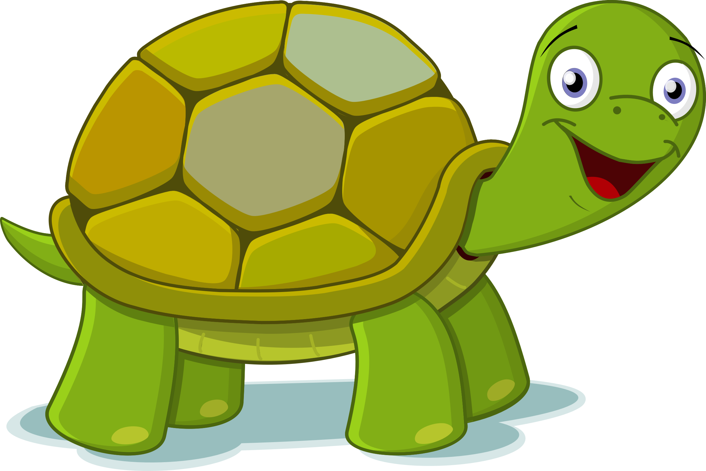 Download Turtle Png Transparent Images Transparent - Turtle Clipart Png (2400x1600)