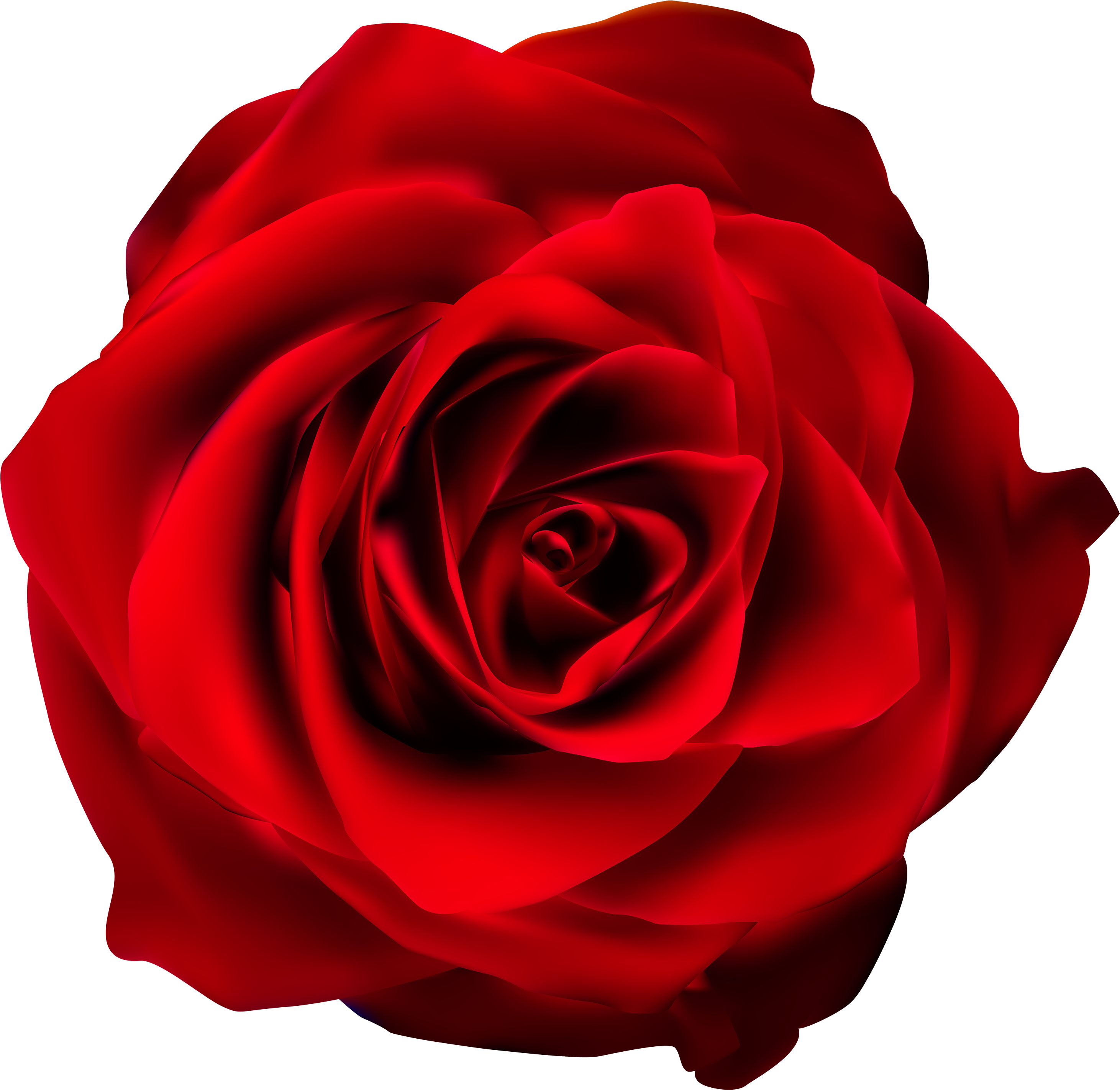 Red Rose Transparent Png Clip Art Imageu200b Gallery - Rose (3000x2943)