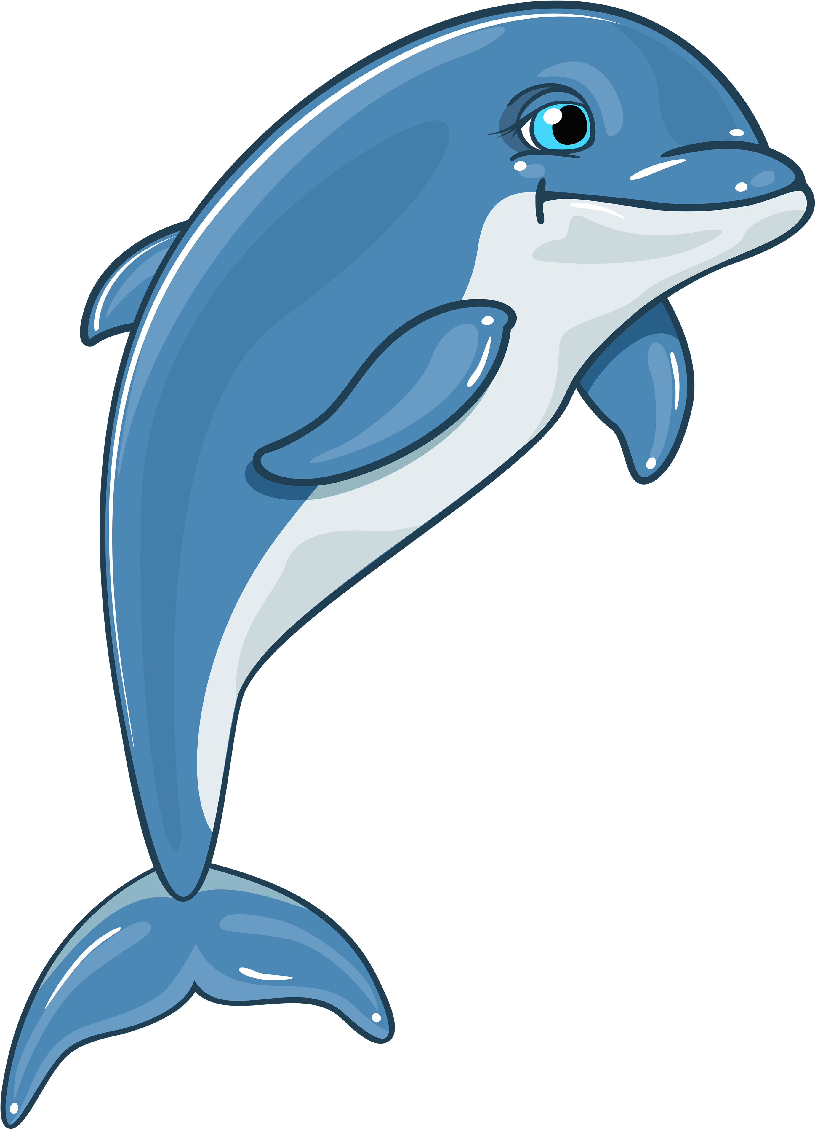 Dolphin Clip Art - Clipart Dolphin (2908x4000)