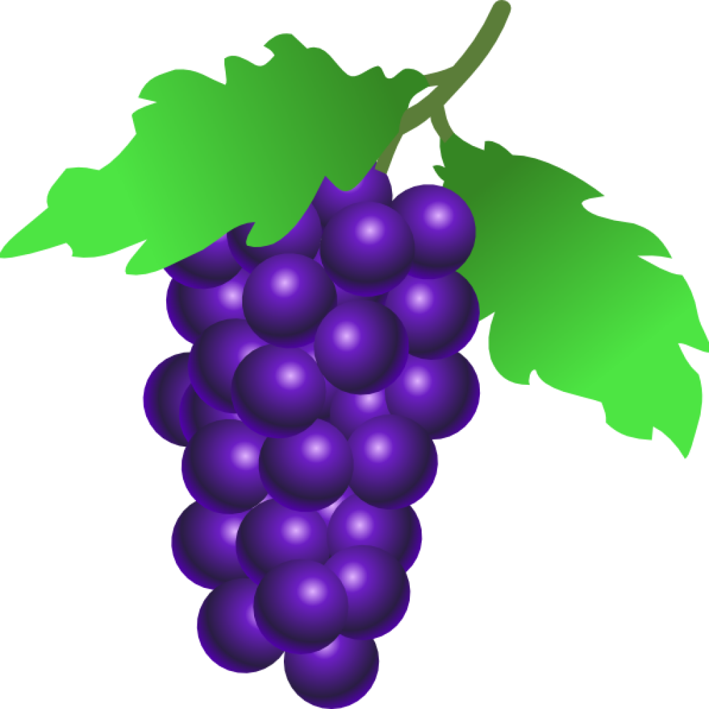 All Images From Collection - Bunch Of Grapes Clipart (1024x1024)
