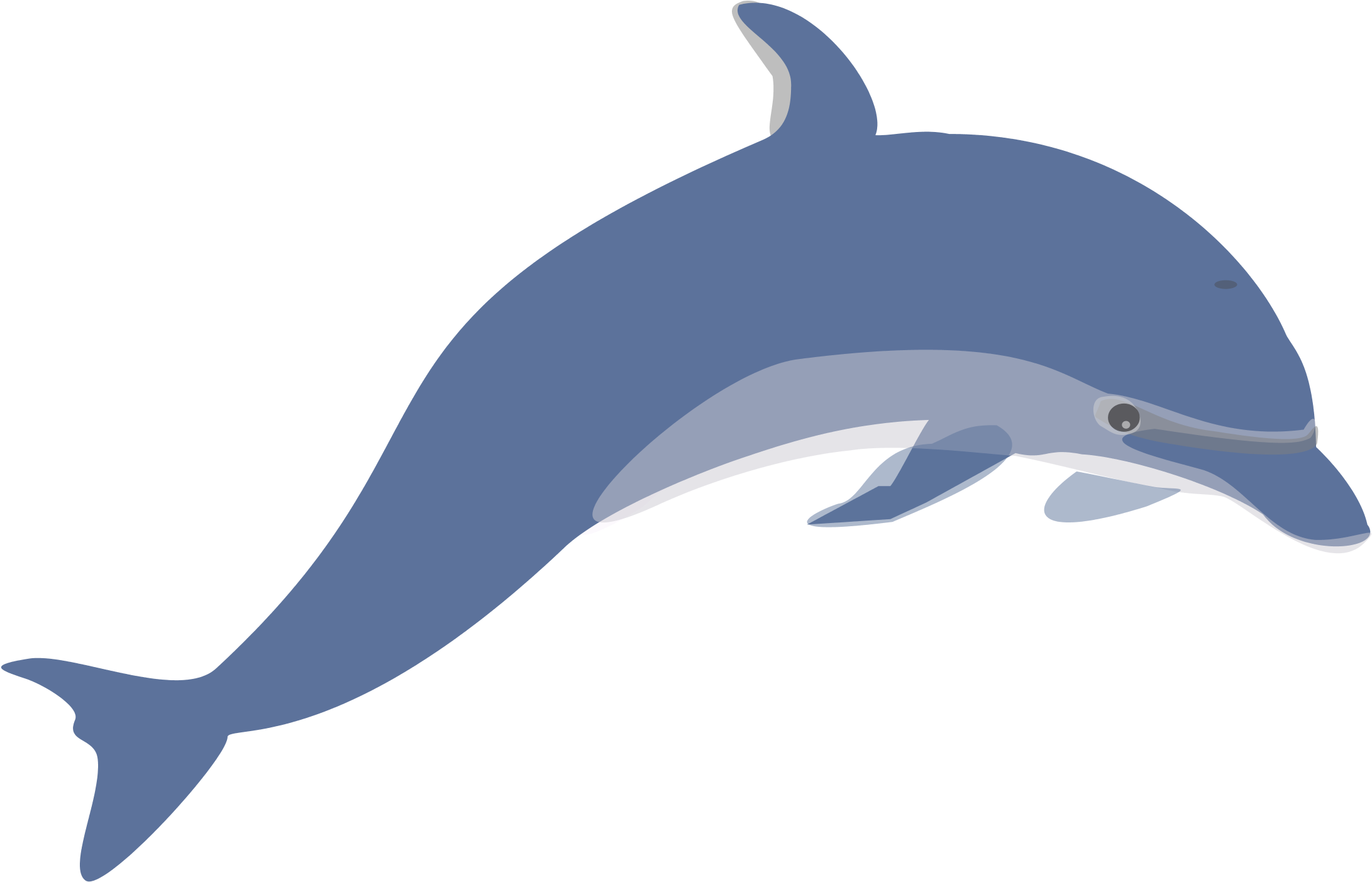 Free Dolphin Clipart Full Page Background Clipart Collection - Free Clipart Dolphin (2457x1619)