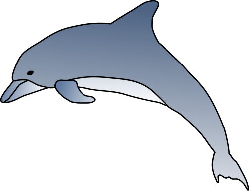 Bottlenose Dolphin Clipart Gallery Clip Art Library - Dolphin Illustration (501x385)