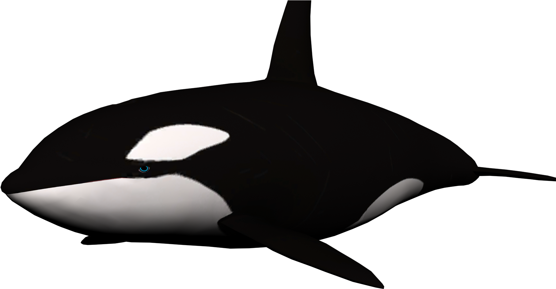Dolphin Clipart - Whale Png Gif (1920x1080)