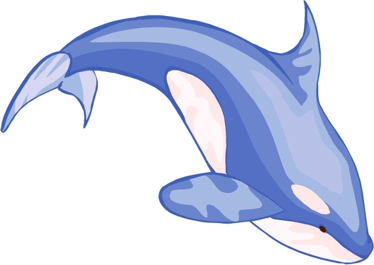 Free Whale Clipart - Clip Art Picture Of Whale (750x531)