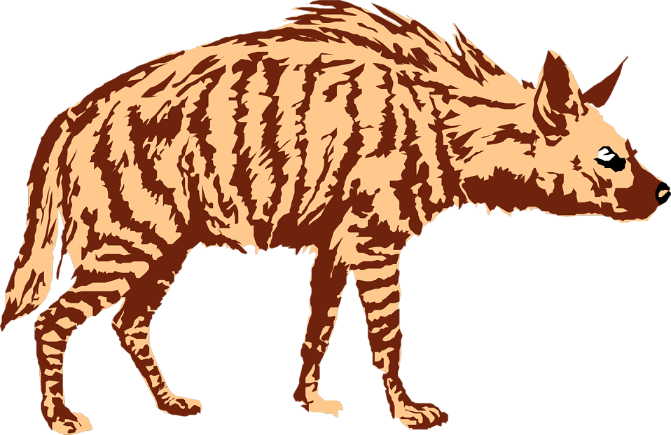 Download Png Image Report - Hyena Clipart No Background (958x621)