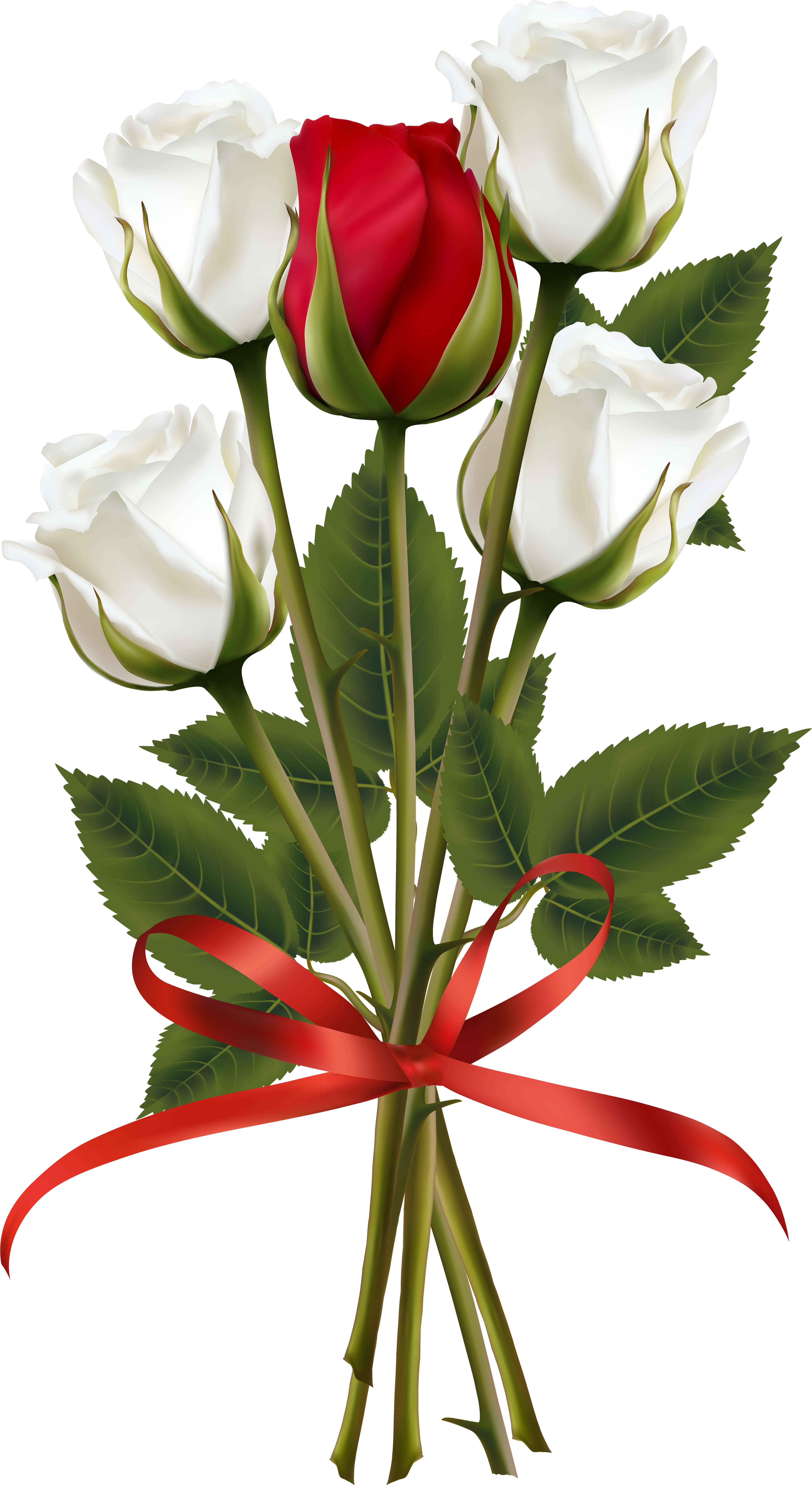 White And Red Rose Bouquet Transparent Png Clip Art - Red And White Rose Png (4288x7000)