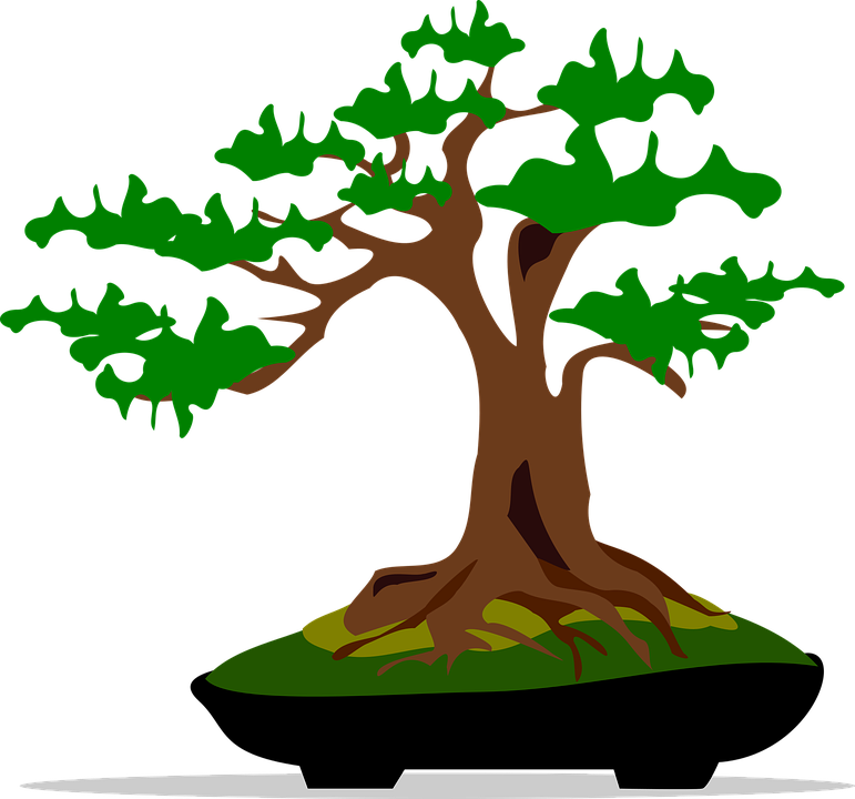 Bonsai Clip Art Flora Nature Plant Tree - Bonsai Clip Art (771x720)