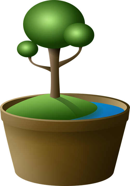Tree Bonsai Vase Island Green Lake Cartoon - Cartoon Bonsai Tree (892x1280)