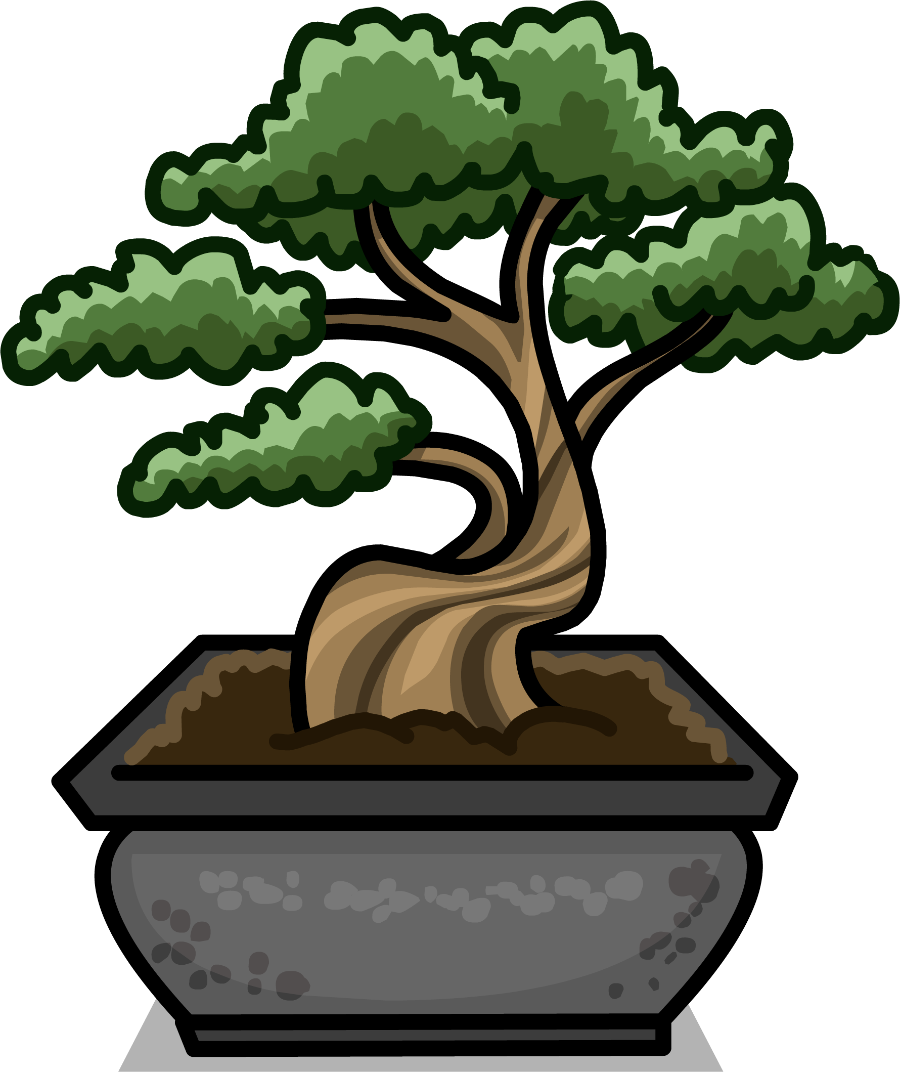 Bonsai Tree Sprite 002 - Sageretia Theezans (1780x2119)