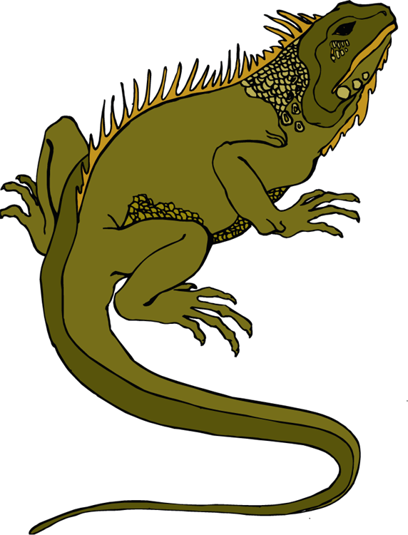 Download Lizard Png Transparent Images Transparent - Reptile Clip Art (572x750)