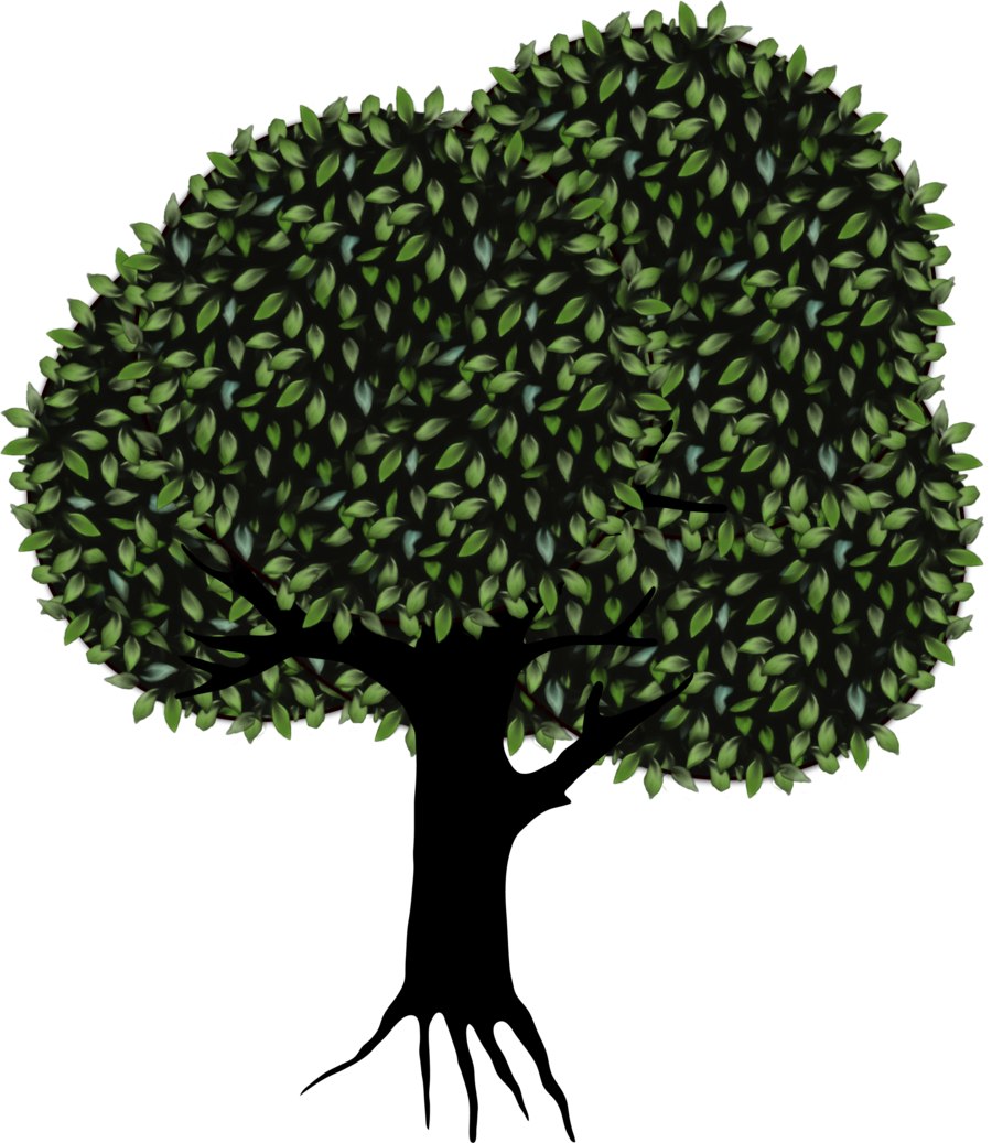 Whimsical Tree Png Transparent By Madetobeunique Whimsical - Tree Transparent Background (900x1037)