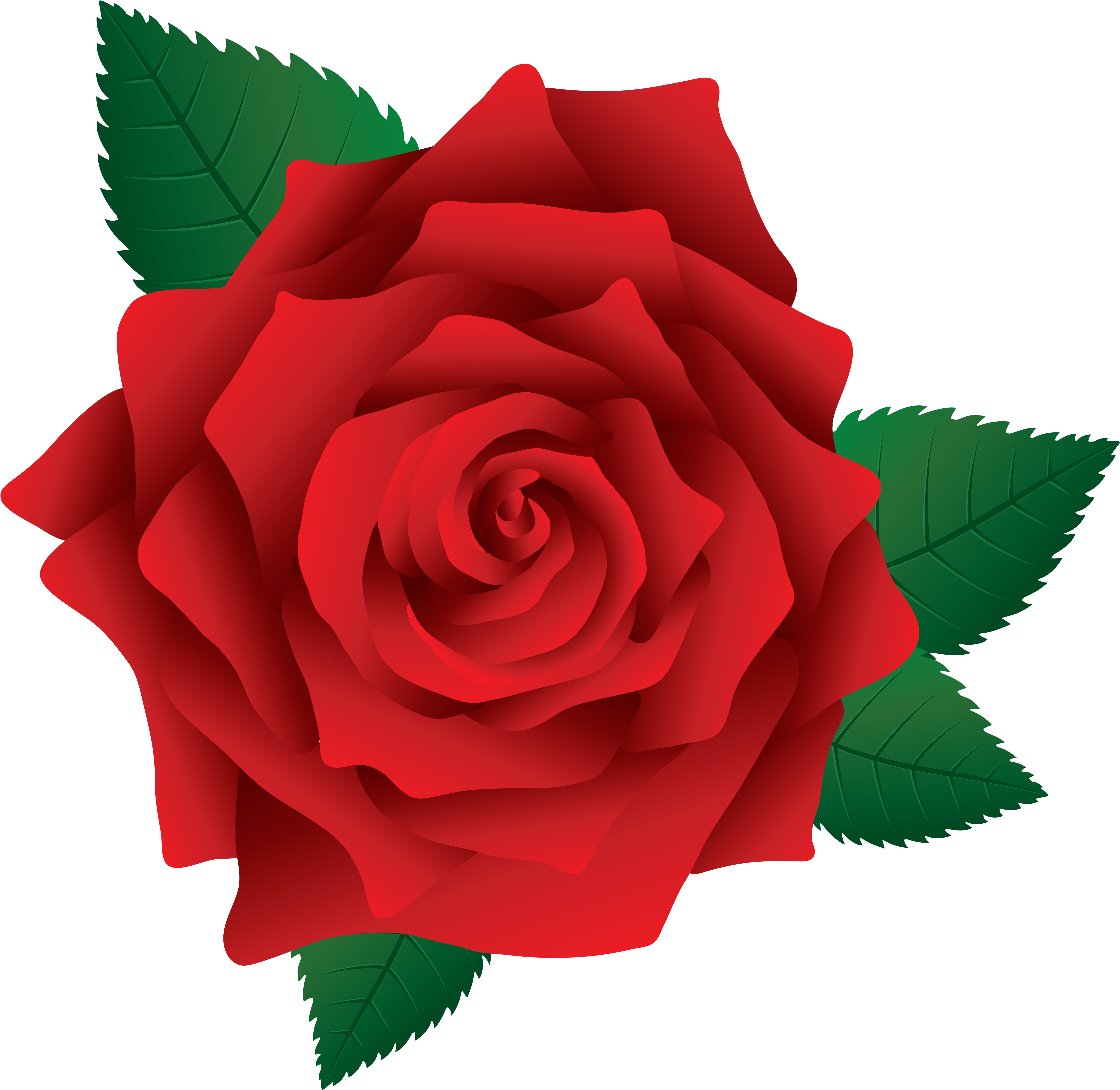 Clipart Flowers Pinterest Rose Clip Art Png - Rose Clip Art Png (5953x5854)
