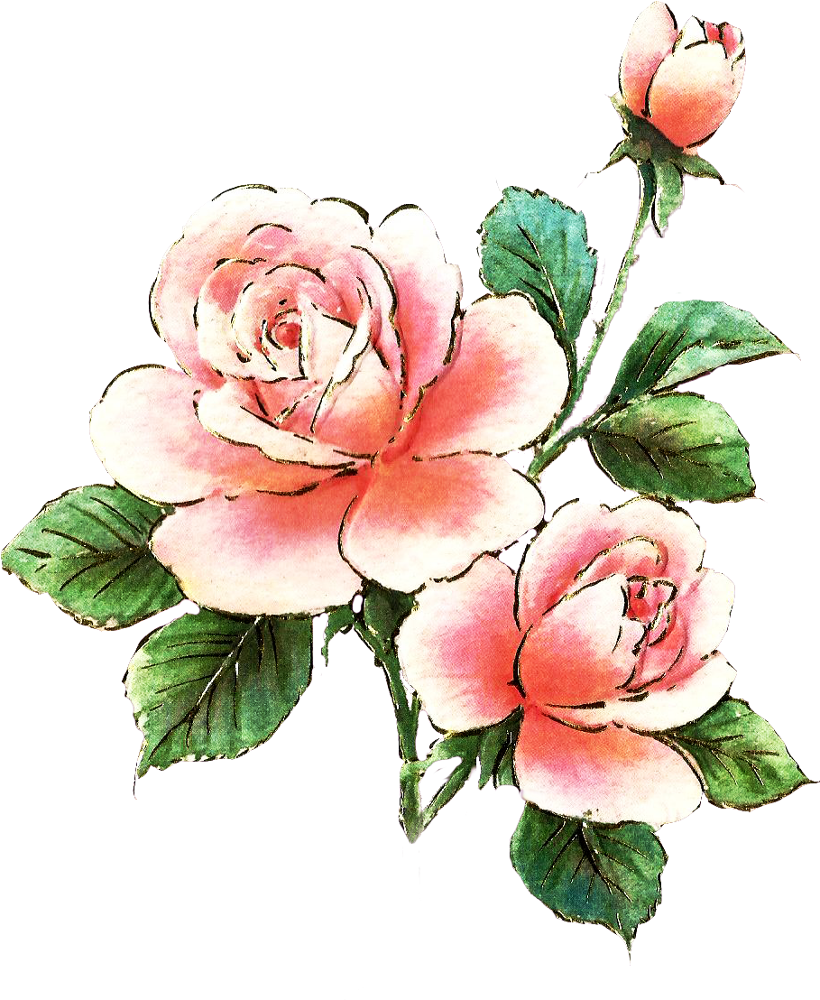 Pink Rose Clipart Dozen Rose - Pink Roses Clip Art Free (939x1175)